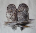 /album/malovane-tricka/malby-na-textile-sova3-jpg/
